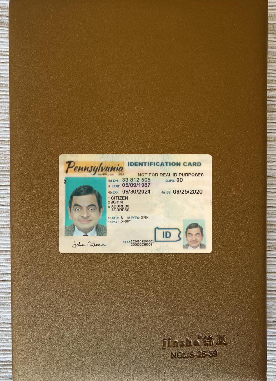 Printable USA Pennsylvania ID card photolook download for verification